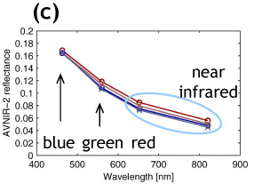 (c) spectral plots at two discoloration (red) and two non-discoloration areas (blue).