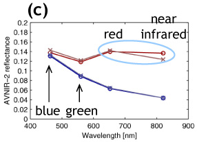 (c) spectral plots at two discoloration (red) and two non-discoloration areas (blue).