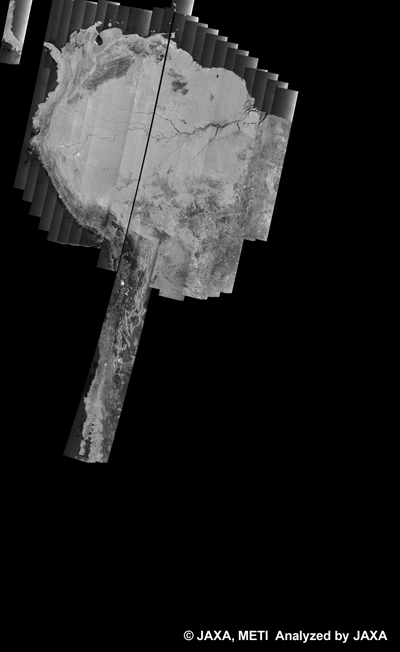 Fig. 20: PALSAR 500m Browse Mosaic (WB1/HH Descending) of SOUTH AMERICA for cycle39 (Oct. 31, 2010 ~ Dec. 15, 2010).