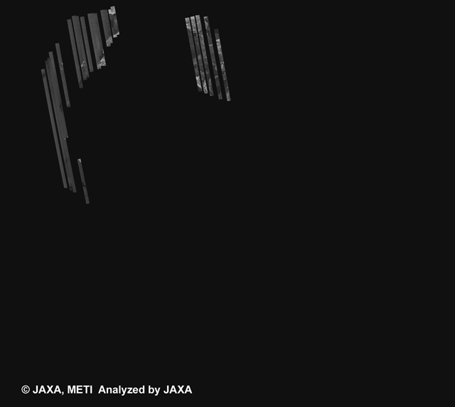 Fig. 1: PALSAR 500m Browse Mosaic (FBS/HH Ascending) of AFRICA for cycle42.