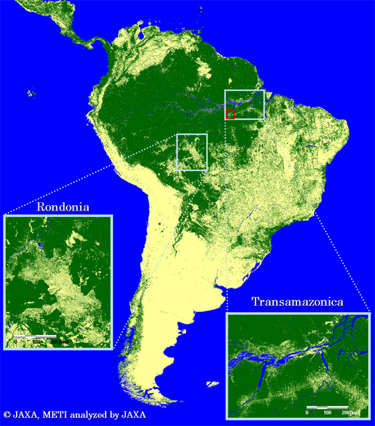 Fig.3-1: Forest/Non-forest map in a typical tropical area (the enlarged images of the Amazon)