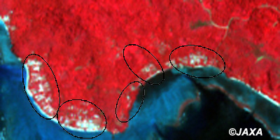 Figure 3(Before the Earthquake): The enlarged image of the southern area of Gizo Island taken by the AVNIR-2 on March 8, 2007