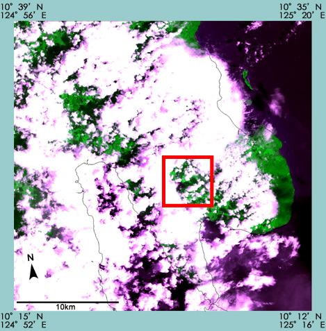 View of Leyte Island in the Republic of the Philippines, observed by AVNIR-2 (observation: Feb. 20, 2006, UT).