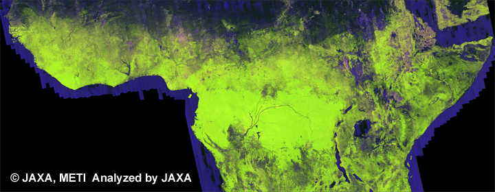 Fig. 2: The color Mosaic (50m Orthorectified Mosaic) of Central Africa for 2008 (Apr. 24, 2008 ~ Nov. 16, 2008).