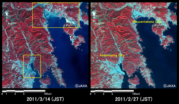 Fig.4: Enlarged image of flooded areas from Rikuzen-takada to Kesennuma city. (400 square kilometers, left: March 14, 2011; right: February 27, 2011).