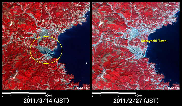 Fig.5: Enlarged image of flooded areas at Motoyoshi-cho in Miyagi Prefecture. (100 square kilometers, left: March 14, 2011; right: February 27, 2011).