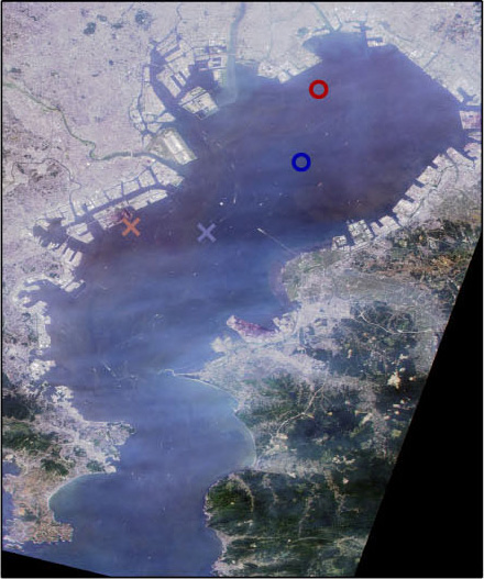 Tokyo Bay on June 1, 2006 observed by AVNIR-2 (R,G,B=Band3,2,1)