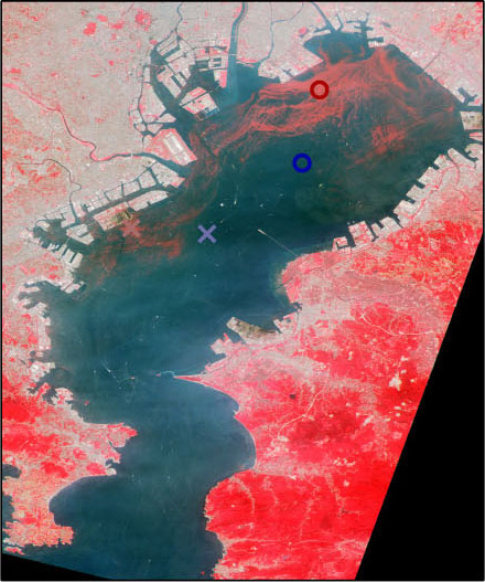 Tokyo Bay on June 1, 2006 observed by AVNIR-2 (R,G,B=Band4,3,2)