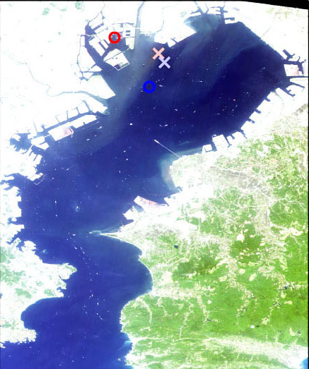 Tokyo Bay on May 21, 2006 observed by AVNIR-2 (R,G,B=Band3,2,1)