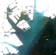 Enlarged image of Tokyo Bay on May 21, 2006 observed by AVNIR-2 (R,G,B=Band3,2,1)