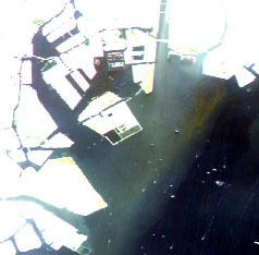Enlarged image of Tokyo Bay on May 21, 2006 observed by AVNIR-2 (R,G,B=Band4,3,2)