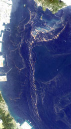 Enlarged image of Kagoshima Bay on Apr. 7, 2006 observed by AVNIR-2 (R,G,B=Band3,2,1)