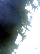 Enlarged image of East coast of Osaka Bay on May 24, 2006 observed by AVNIR-2 (R,G,B=Band3,2,1)