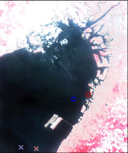 East coast of Osaka Bay on May 24, 2006 observed by AVNIR-2 (R,G,B=Band4,3,2)