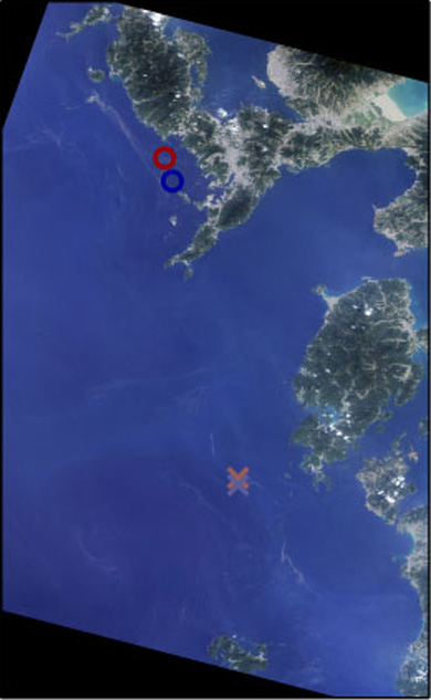 Seas around the Amakusa Islands on May 4, 2006 observed by AVNIR-2 (R,G,B=Band3,2,1)