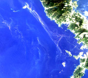Enlarged image of Seas around the Amakusa Islands on May 4, 2006 observed by AVNIR-2 (R,G,B=Band3,2,1)