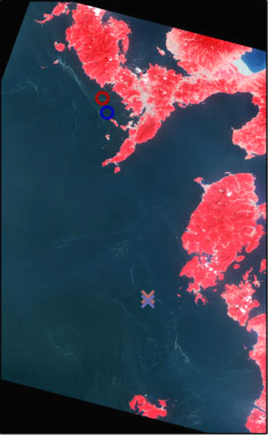 Seas around the Amakusa Islands on May 24, 2006 observed by AVNIR-2 (R,G,B=Band4,3,2)