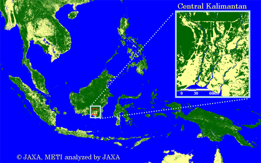 Fig.3-3: Forest/Non-forest map in a typical tropical area (the enlarged images of Indonesia)