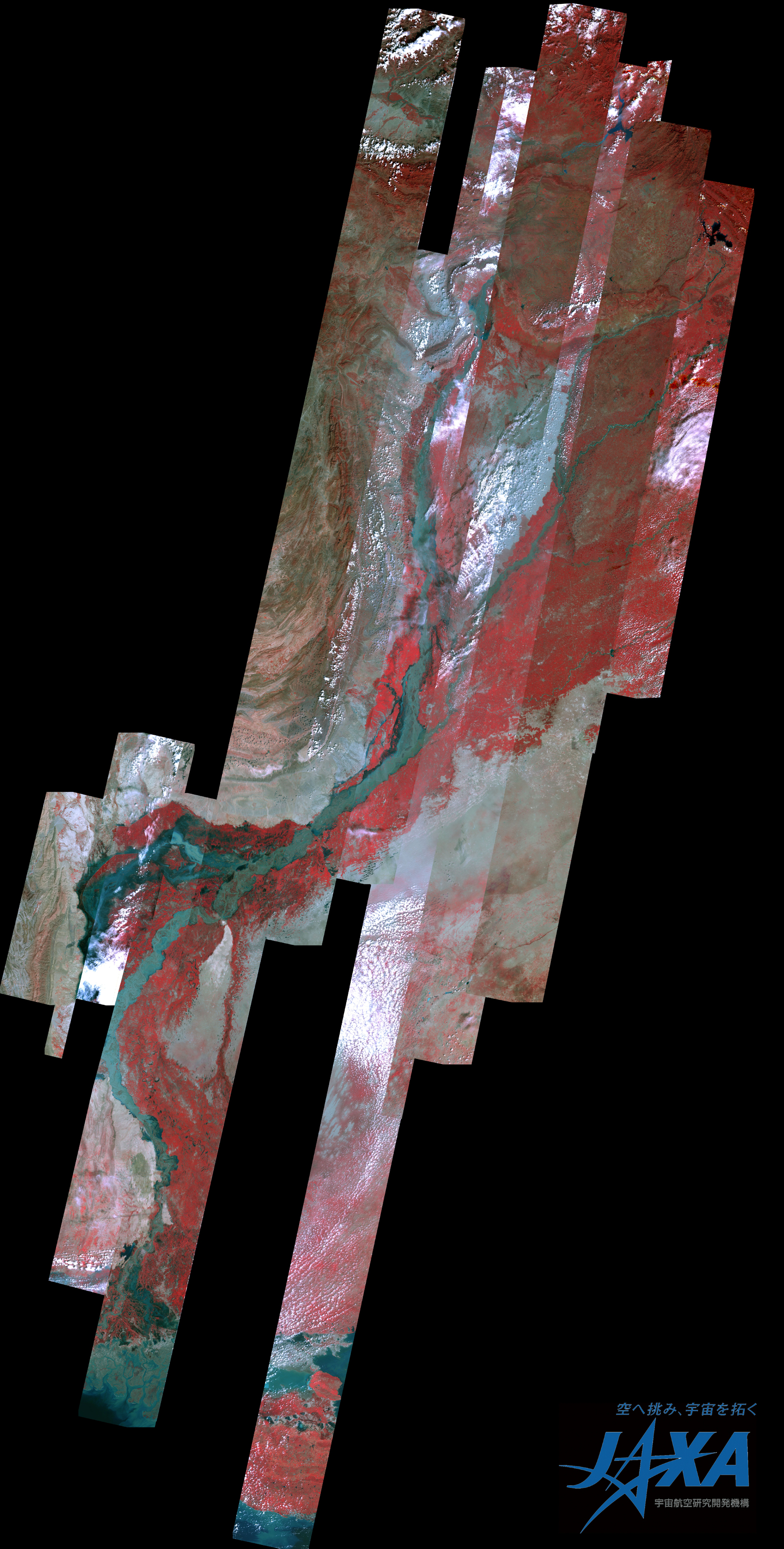Fig.2 (after the disaster): Observation Results of ALOS/AVNIR-2, enlarged image of after the disaster and flooded area along the Indas river basin.