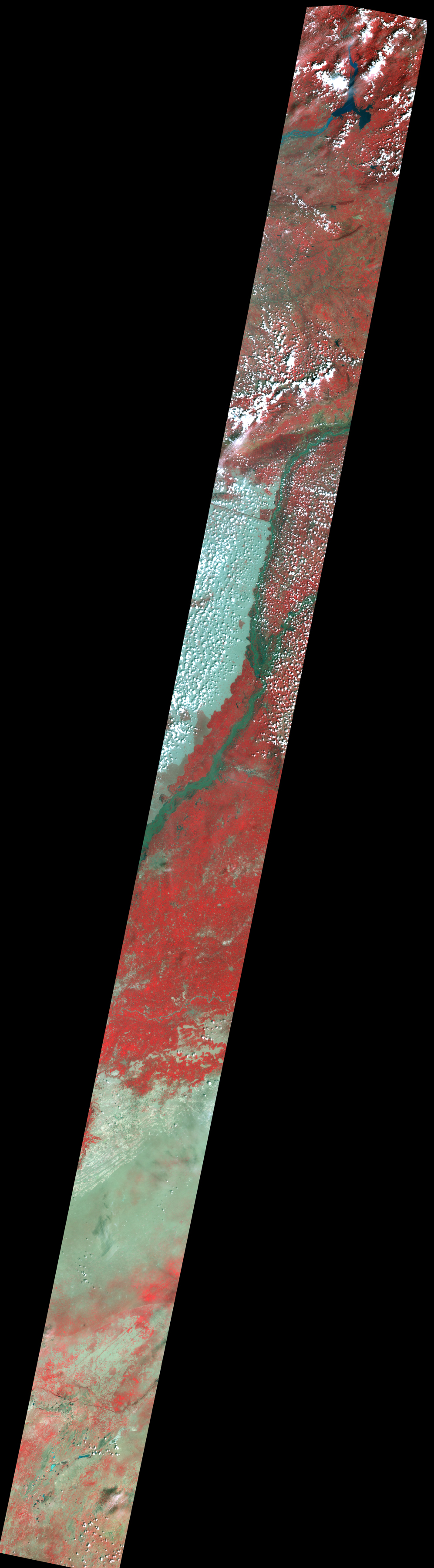 Fig.1(False color): AVNIR-2 image with 0.0 degree pointing angle acquired at 15:00 on September 1, 2010 (JST).