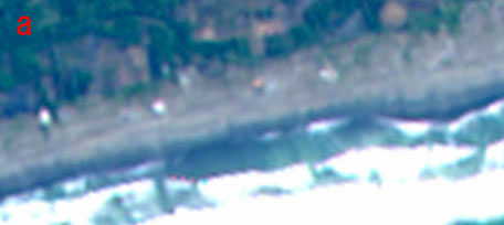 Tsunami Stricken Area in South of Java, Indonesia observed by AVNIR-2 on Jul. 21, 2006.