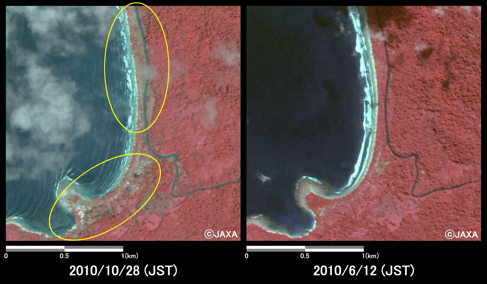 Fig.4: Enlarged images at the coast in South Pagai Island (4 square kilometers, left: October 28, 2010; right: June 12, 2010).