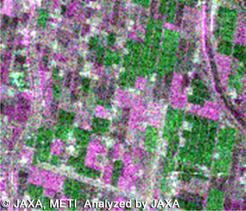 fig.4: Farmland_±45°