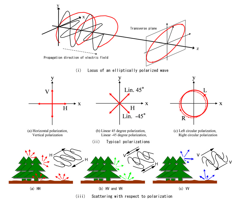 fig.1