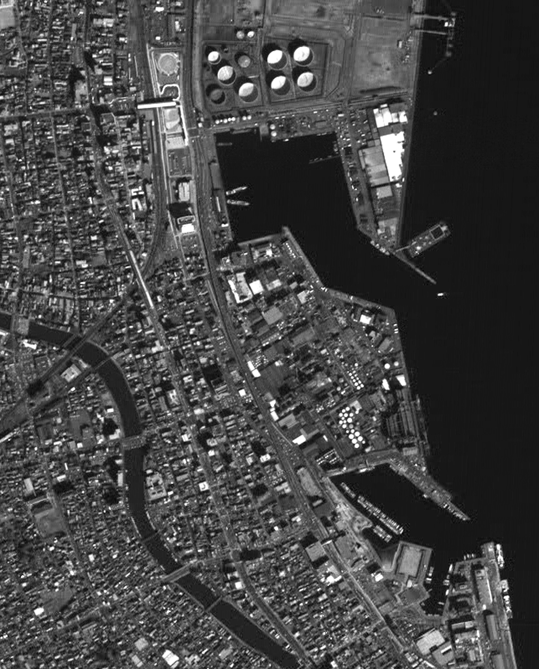 Fig.2: The area of Shimizu Port was enlarged (observed by  PRISM onboard the Advanced Land Observing Satellite "Daichi" on Feb. 14, 2006 (JST)).