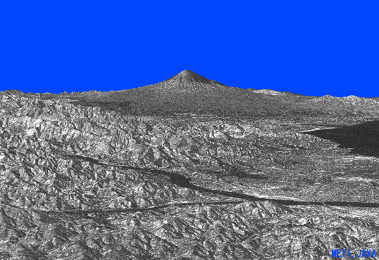 Mt. Fuji and the Izu Peninsular observed by the PALSAR.