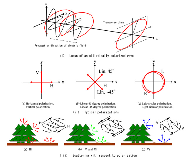 Fig. 1 Polarization of electromagnetic signal