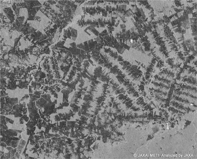 Figure 2: Enlarged PALSAR image(Figure 1, right image) for 70 km x 70km