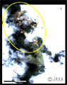 2008年6月17日に陸域観測技術衛星「だいち」(ALOS)搭載のAVNIR-2で観測した岩手・宮城内陸地震被災後の宮城県栗原市の荒砥沢ダム北側の土砂崩れの様子