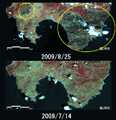 陸域観測技術衛星「だいち」(ALOS)搭載の高性能可視近赤外放射計2型(アブニール・ツー)により観測された火災により焼失したと考えられるカリストス周辺の拡大図(フォールスカラー画像、それぞれ約10km×20kmのエリア)、上：火災後(2009年8月25日)、下：火災前(2009年7月14日)、黄色丸：火災により焼失したと考えられる場所(推定焼失面積：約45平方km)