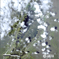 2008年9月3日16時20分頃(UT)に陸域観測技術衛星「だいち」(ALOS)搭載のAVNIR-2で観測された大型ハリケーン「グスタフ」による災害後の画像