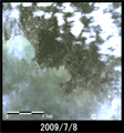 陸域観測技術衛星「だいち」(ALOS)搭載の高性能可視近赤外放射計2型(アブニール・ツー)により観測された田辺市、日高郡みなべ町の海岸線の様子(2009年7月8日観測)
