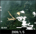 2009年1月5日午前11時04分頃に陸域観測技術衛星「だいち」(ALOS)搭載のAVNIR-2により観測されたインドネシア東部ニューギニア島の西パプア州を震源とする地震による土砂崩れ発生箇所付近の拡大図