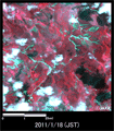 陸域観測技術衛星「だいち」搭載センサ、アブニール・ツーで観測されたブラジル・Nova Friburgo北西部付近の河川増水の様子(約5km×5kmのエリア、災害後2011年1月18日観測)