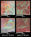 陸域観測技術衛星「だいち」搭載センサ、アブニール・ツーで観測されたグアテマラシティから西に約80km地点の土砂崩れと思われる箇所の拡大(それぞれ1km四方)。上下とも左: 2010年9月15日(災害発生後)、右: 2008年5月16日(災害発生前)