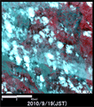 陸域観測技術衛星「だいち」搭載センサ、アブニール・ツーで観測されたインド北部Gopal Ganj付近の河川増水の様子(約12km×12kmのエリア、災害後の2010年9月19日観測)