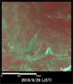 陸域観測技術衛星「だいち」搭載センサ、アブニール・ツーで観測されたメキシコ南部San Pablo Villa de Mitla付近の様子(約2km×2kmのエリア、災害後の2010年9月29日観測)