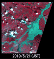 陸域観測技術衛星「だいち」(ALOS)搭載センサ高性能可視近赤外放射計2型(アブニール・ツー)により2010年5月21日18時59分頃(日本時間)に観測されたポーランド南部・Przemykow付近のビスワ川増水の様子(それぞれ約20km×20kmのエリア)