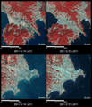 上2図:岩手県陸前高田市油崎付近の様子(約5km×5kmのエリア、左:地震後2011年3月14日、右:地震前2011年2月27日)下2図:宮城県気仙沼市波路上付近の様子(約5km×5kmのエリア、左:地震後2011年3月14日、右:地震前2011年2月27日)上下とも陸域観測技術衛星「だいち」搭載センサ、アブニール・ツー観測