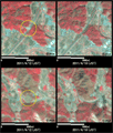 東日本大震災余震による福島県内の土砂崩れの被害前後の様子。上からいわき市内の常磐道、いわき市渡辺町上釜戸付近(2011年4月12日10時8分頃、陸域観測技術衛星「だいち」搭載センサ、アブニール・ツー観測)。