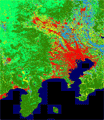 高精度土地被覆図の一部