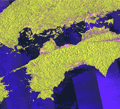 陸域観測技術衛星「だいち」(ALOS)搭載のLバンド合成開口レーダ(PALSAR；パルサー)による50mオルソモザイクプロダクトの日本列島(一部)