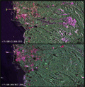 平成25年台風26号災害前後の伊豆大島・大島町付近の観測画像（上:災害後2013年10月22日Pi-SAR-L2観測、下:災害前2000年8月30日Pi-SAR-L観測）