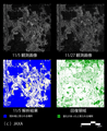 Pi-SAR-Lによるタイ・ロジャーナ冠水域解析結果（左上：2011年11/5のPi-SAR-L画像　右上：2011年11/27のPi-SAR-L画像、左下：2011年11/5の水域抽出画像、右下、11/5と11/27で水域の減少を示した画像（回復領域）)