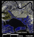 Couba Island付近の災害前後のPALSAR観測画像を2008年4月6日の画像を青に、ハリケーン「グスタフ」通過後の2008年9月3日の画像を赤と緑に色付けした合成画像。広域に渡って青く着色されており、浸水域であると考えられる。
