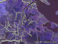 陸域観測技術衛星「だいち」(ALOS)搭載のＬバンド合成開口レーダ(PALSAR；パルサー)によるルイジアナ州の偏波カラー合成画像、災害後の水平-水平偏波(HH)の画像に赤、同じく災害後の水平-垂直偏波(HV)の画像に緑、災害前の水平-水平偏波(HH)の画像に青を割り当てたカラー合成画像で、青色が浸水域の可能性が高い地域です。ここでは、密度の低い植生地帯であったところが浸水していると考えられます。